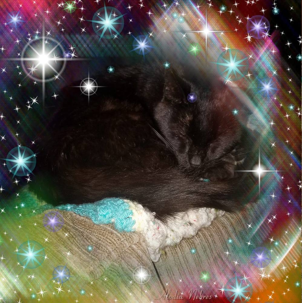 Meet your Posher, Laura